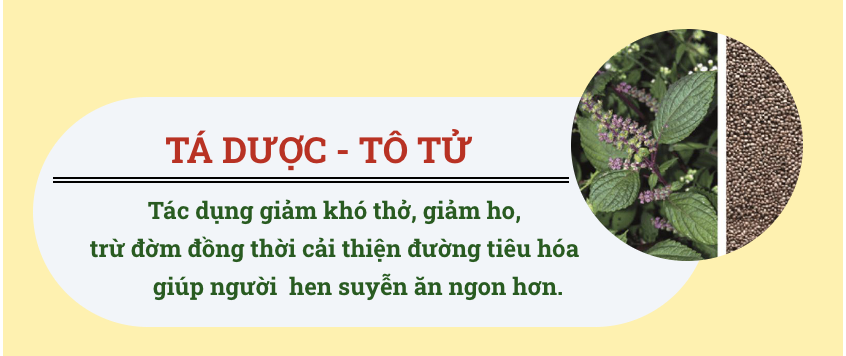 tô tử có trong pqa hen suyễn