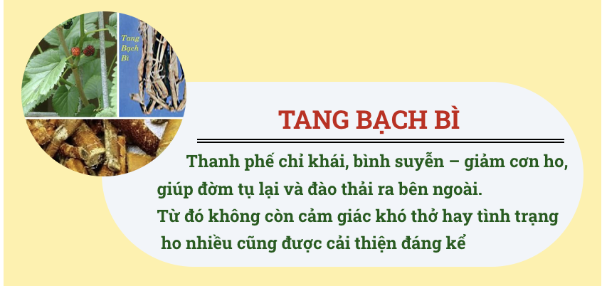 tạng bạch bì có trong pqa hen suyễn