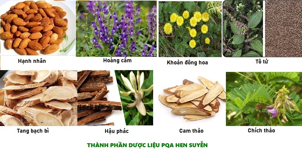 Thành phần dược liệu PQA Hen Suyễn